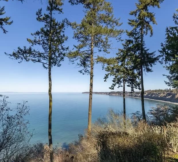 The bluffs