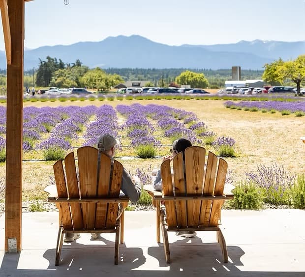 The lavender boutique