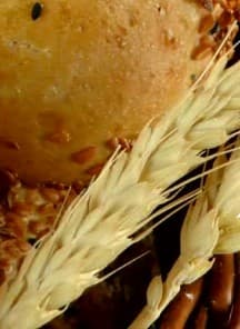 Wheat and a seeded loaf from the WSU Breadlab