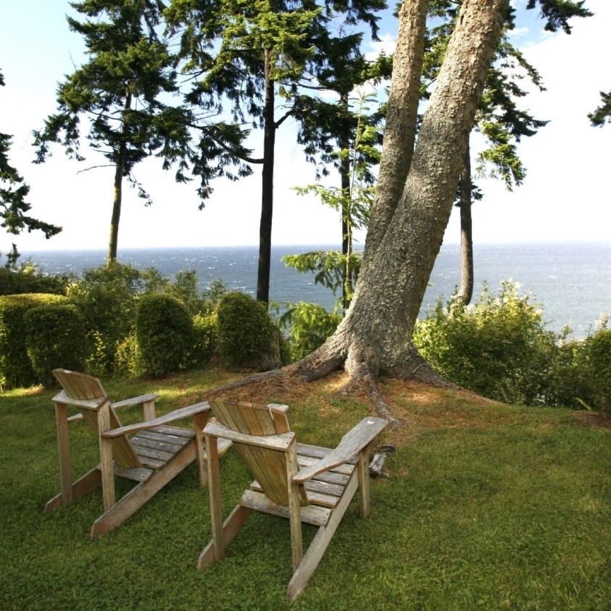 Two chairs looking out over the lavender fields